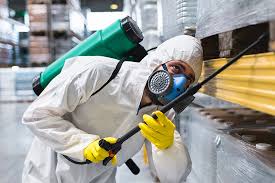 Best Fumigation Services  in Lockney, TX